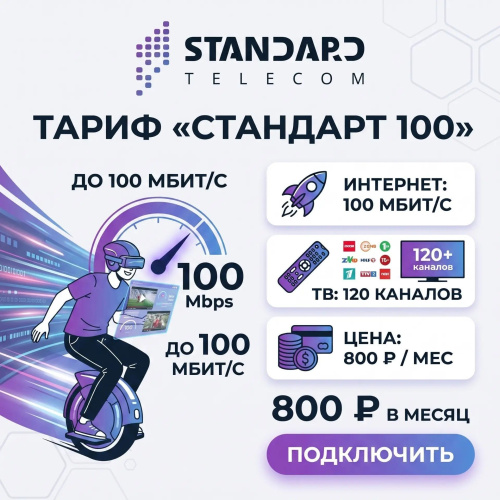 Стандарт 100 